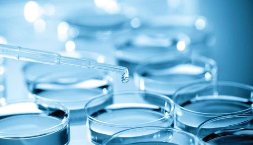 專利變現還是技術突圍？熱景生物科創板IVD首秀背后的市場考驗